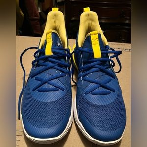 Mens under armour Steph curry gs s3 zerol IV training sneakers!